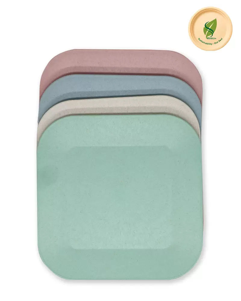 Eco SS Plate - Image 3